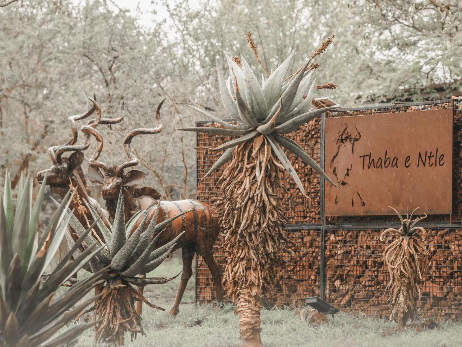 Campsite Thaba Entle Private Boutique Game Farm Thabazimbi